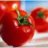 томато